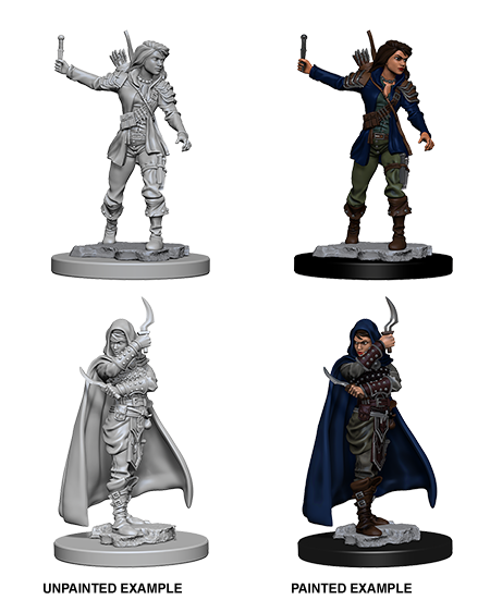 Pathfinder Deep Cuts Unpainted Miniature: Human Female Rogue