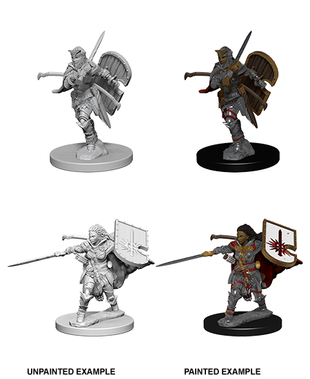 Pathfinder Deep Cuts Unpainted Minis: Human Female Paladin