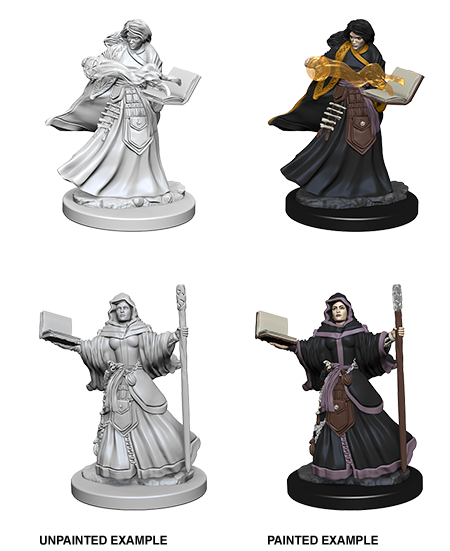 D&D Nolzur's Marvelous Miniatures: Human Wizard