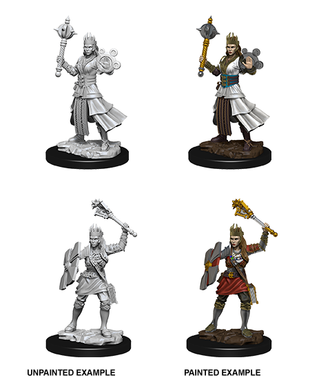 D&D Nolzur's Marvelous Miniatures: Human Cleric