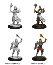 D&D Nolzur's Marvelous Miniatures: Human Cleric