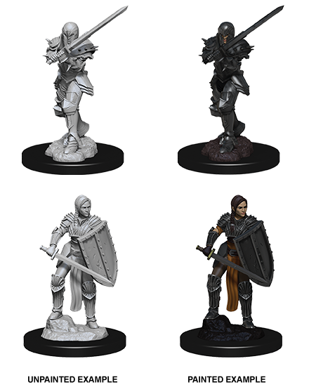 D&D Nolzur's Marvelous Miniatures: Human Fighter