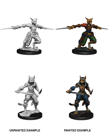 D&D Nolzur's Marvelous Miniatures: Tabaxi Rogue